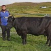 Geldron Vynd, 16yr old Champion Shetland and Supreme Cattle Champion. Walls Show 2023