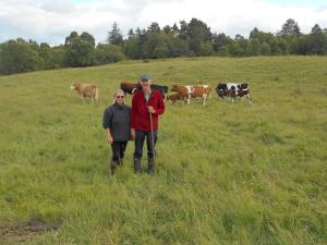 Elaine and Gordon with some of their cattle
